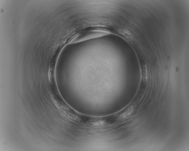 X0000057080456200509091252