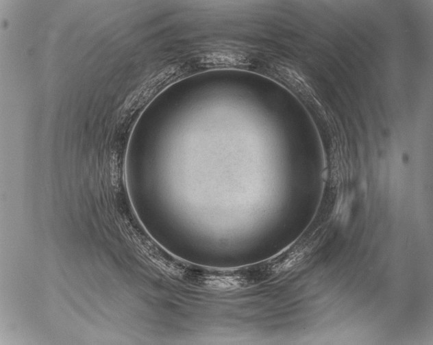 X0000057080457200509091252