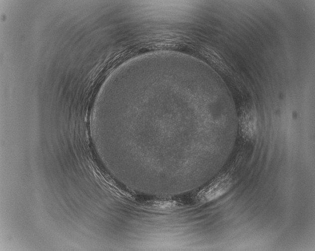 X0000057080458200509091252