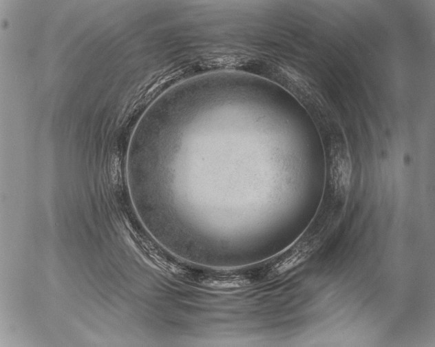 X0000057080459200509091252