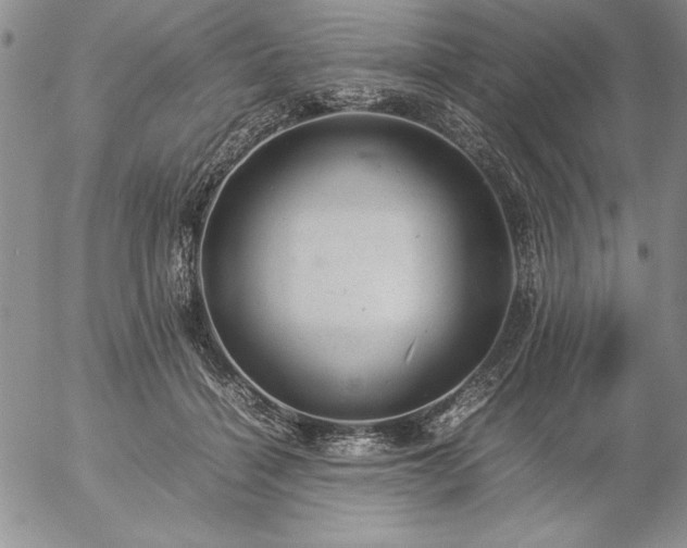 X0000057080460200509091252