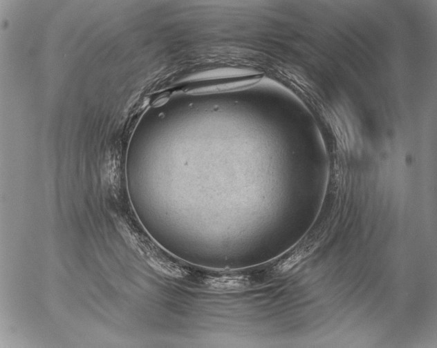 X0000057080461200509091252