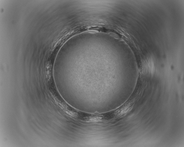 X0000057080462200509091252