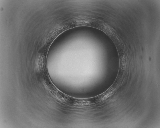 X0000057080463200509091252