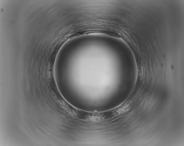 X0000057080466200509091252