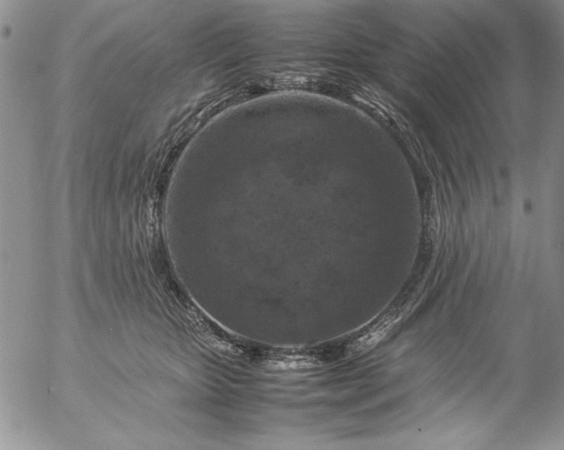 X0000057080467200509091252