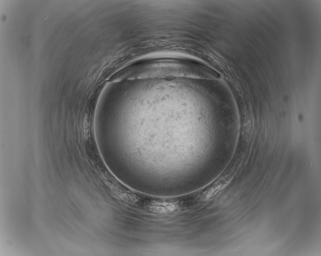 X0000057080469200509091252