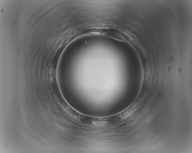 X0000057080470200509091252