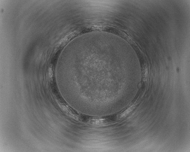 X0000057080472200509091252