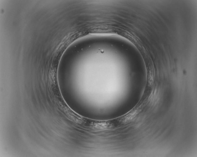 X0000057080473200509091252