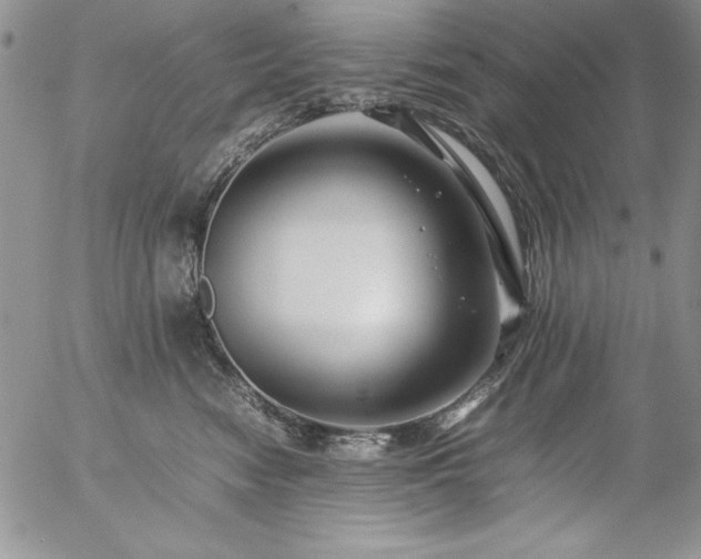 X0000057080474200509091252