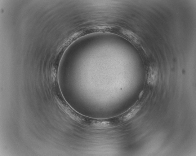 X0000057080476200509091252