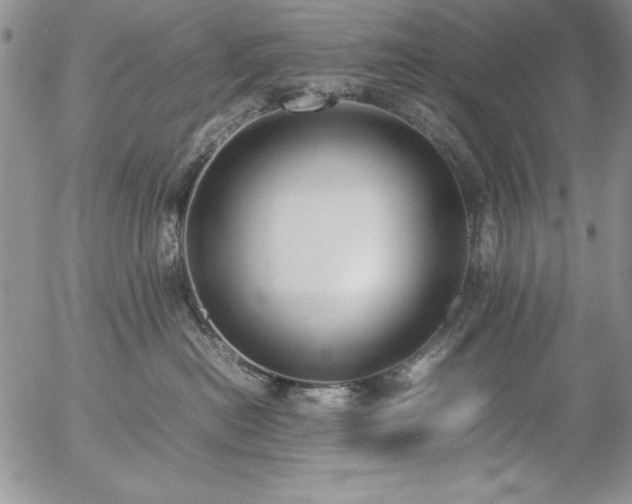 X0000057080478200509091252