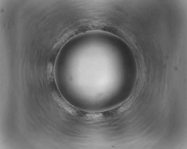 X0000057080480200509091252