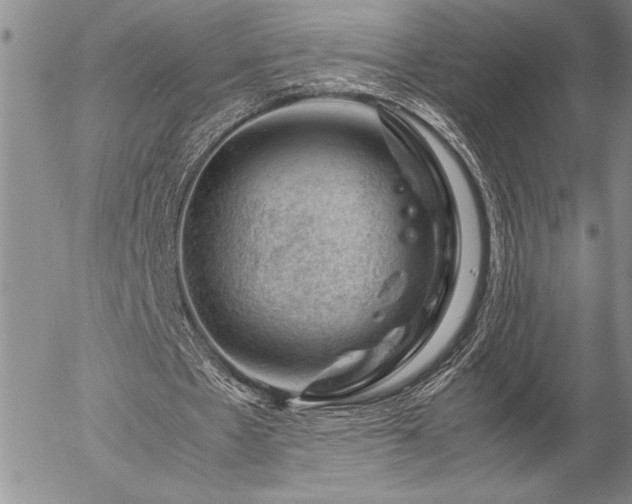 X0000057080481200509091252