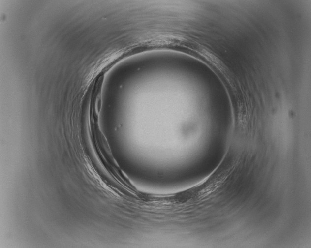 X0000057080485200509091252