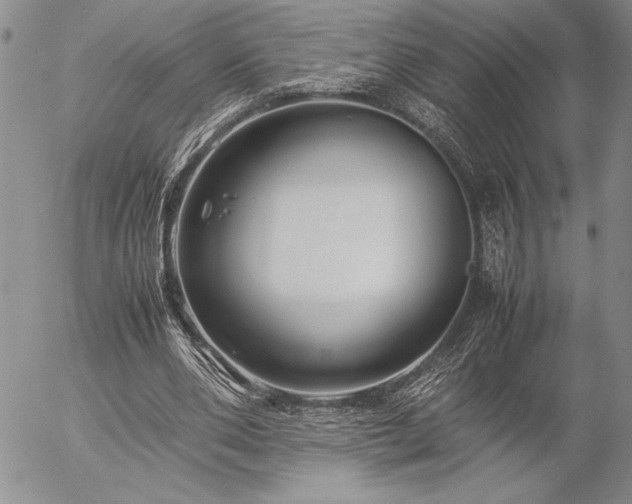 X0000057080486200509091252