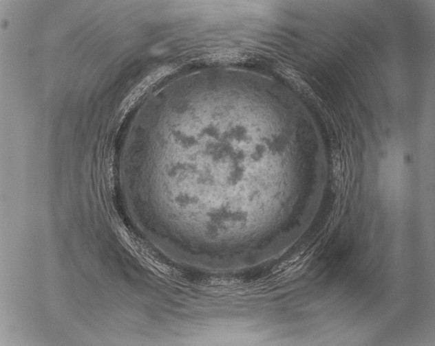 X0000057080487200509091252