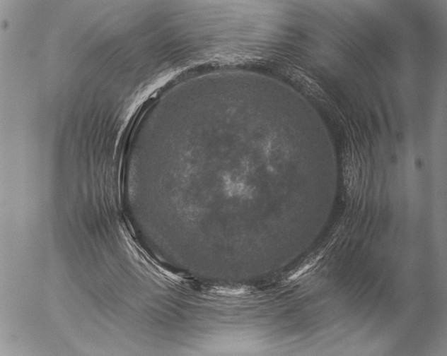 X0000057080488200509091251