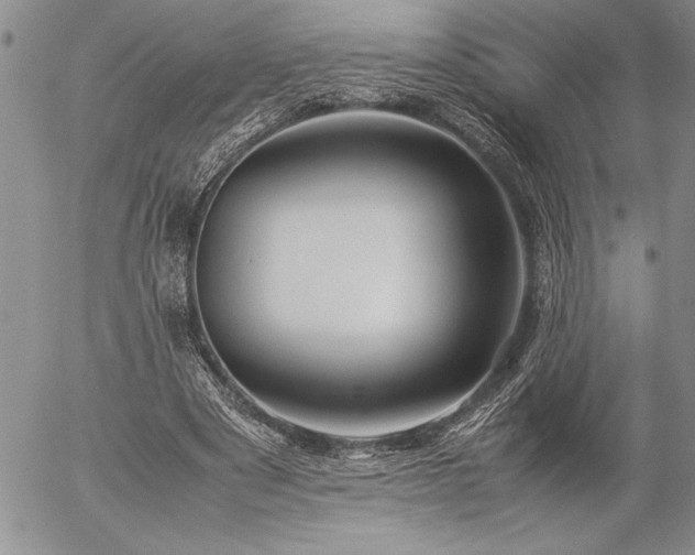 X0000057080489200509091251