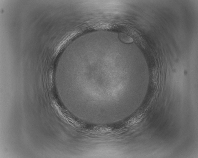 X0000057080491200509091251