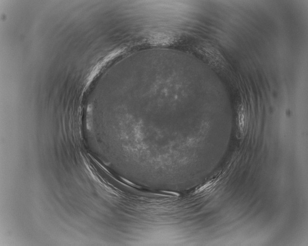 X0000057080492200509091251