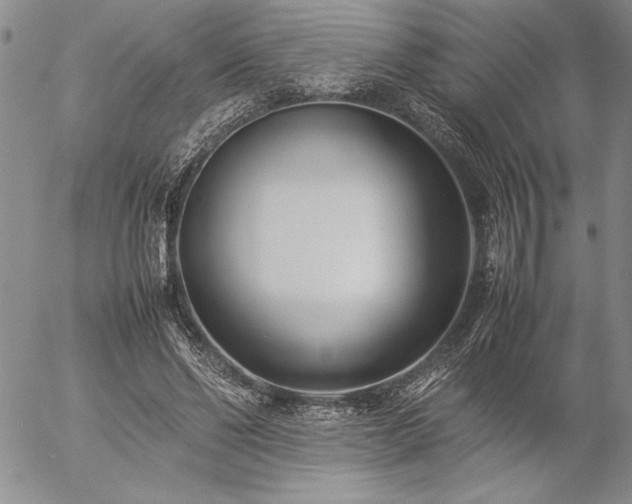 X0000057080494200509091251