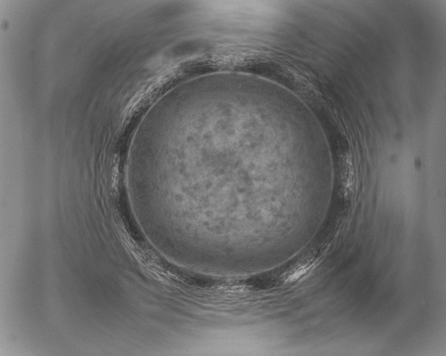 X0000057080495200509091251