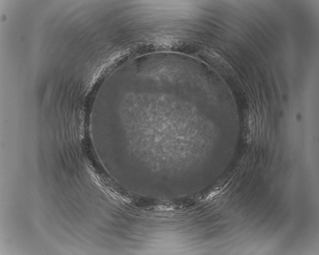 X0000057080496200509091251