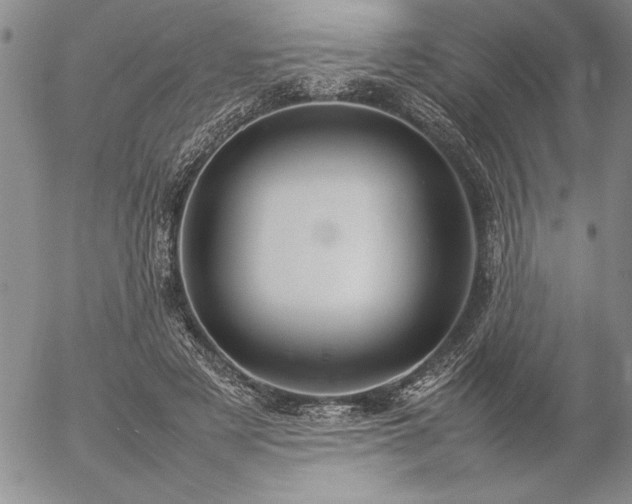 X0000057080497200509091251