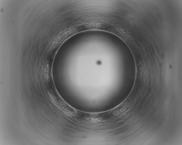 X0000057080498200509091251