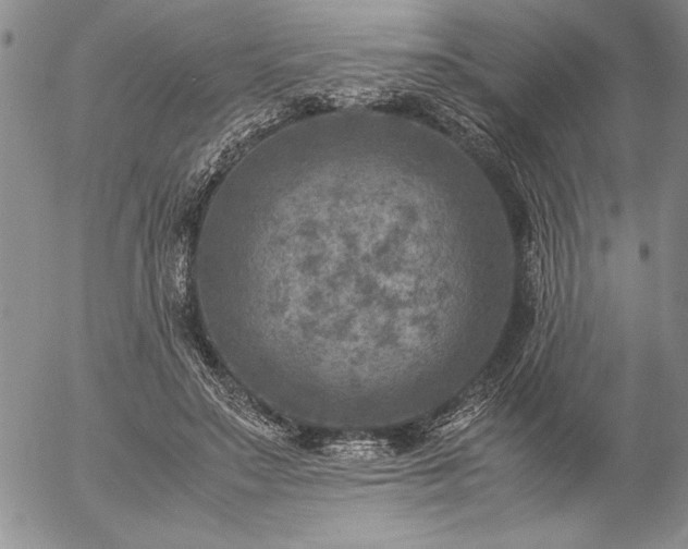 X0000057080499200509091251