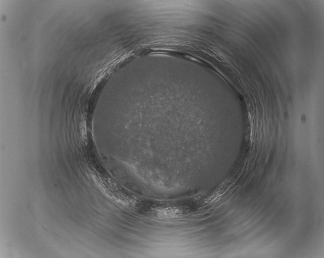 X0000057080500200509091251