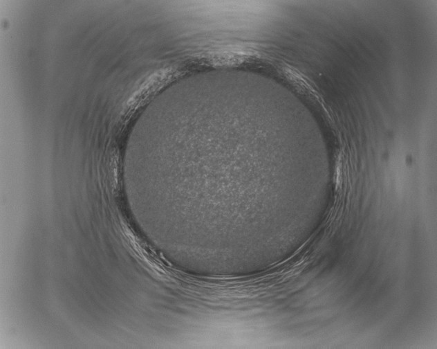 X0000057080501200509091251