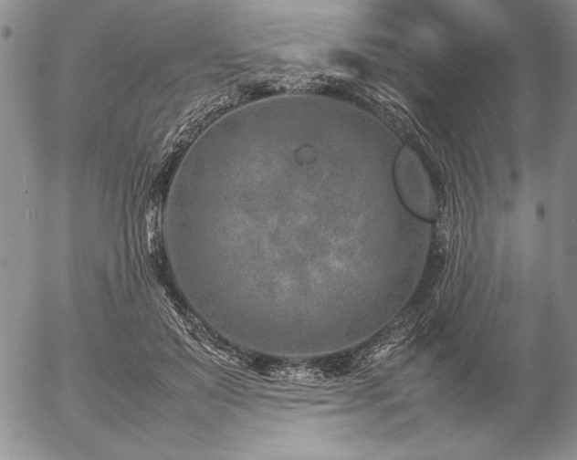 X0000057080503200509091251