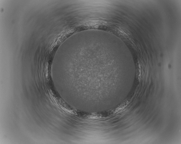 X0000057080504200509091251