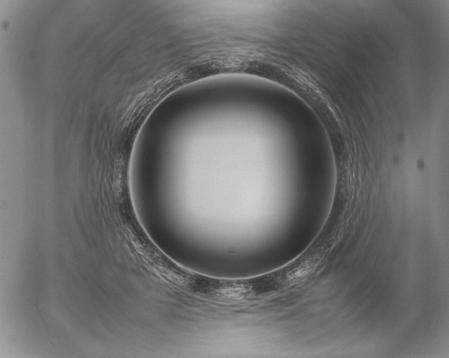 X0000057080505200509091251