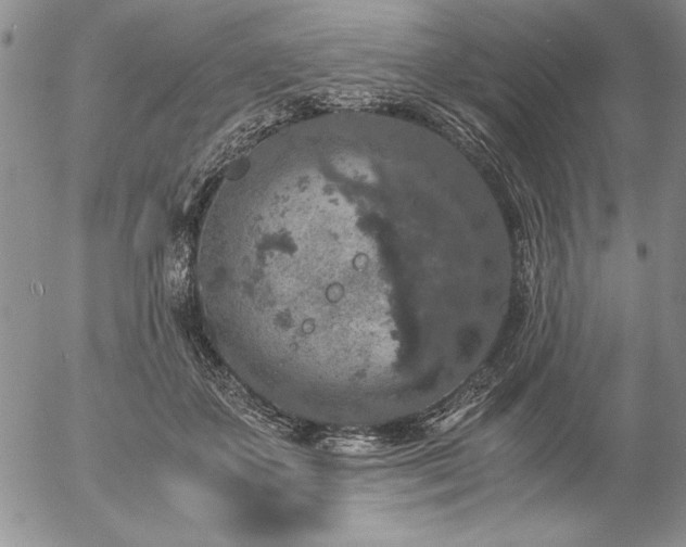 X0000057080507200509091251