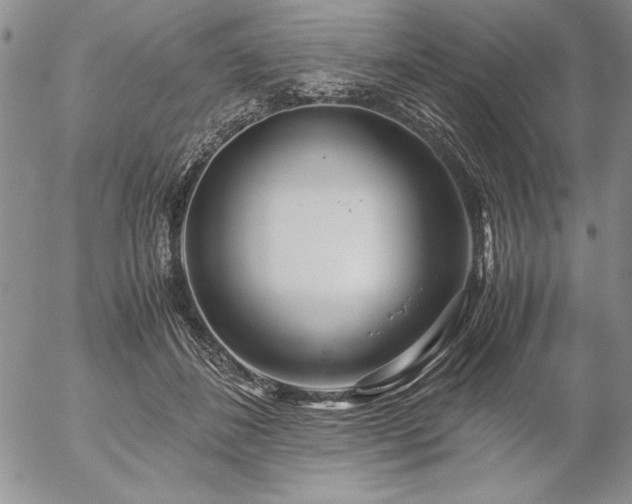 X0000057080508200509091251