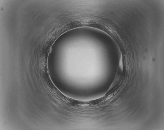 X0000057080509200509091251