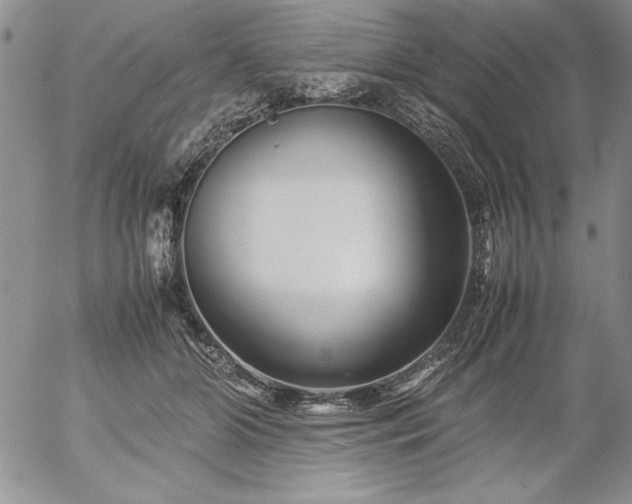 X0000057080510200509091251