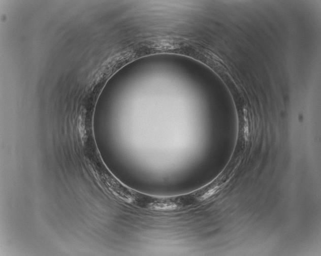 X0000057080512200509091251