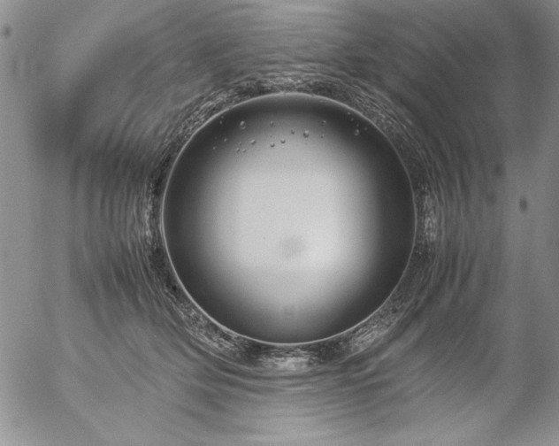 X0000057080514200509091251