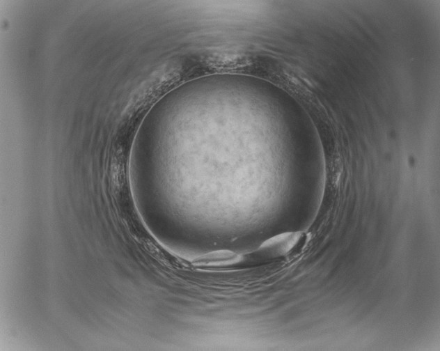 X0000057080515200509091251