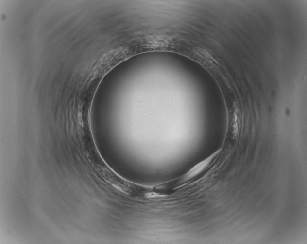 X0000057080516200509091251