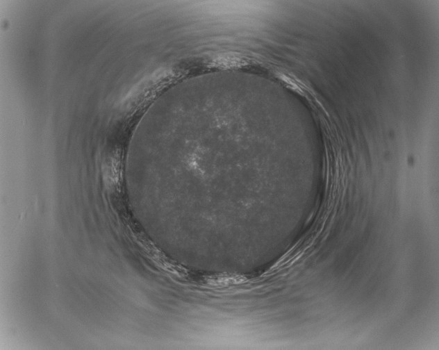 X0000057080517200509091251