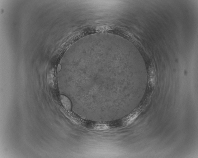 X0000057080519200509091251