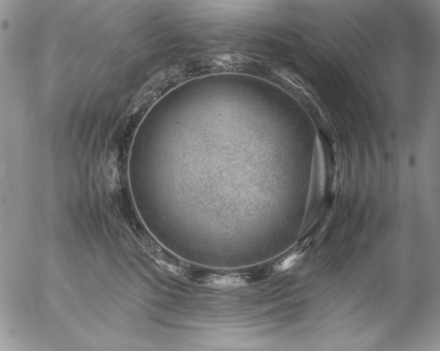 X0000057080520200509091251