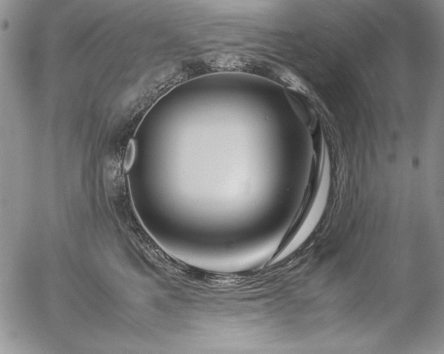 X0000057080521200509091251