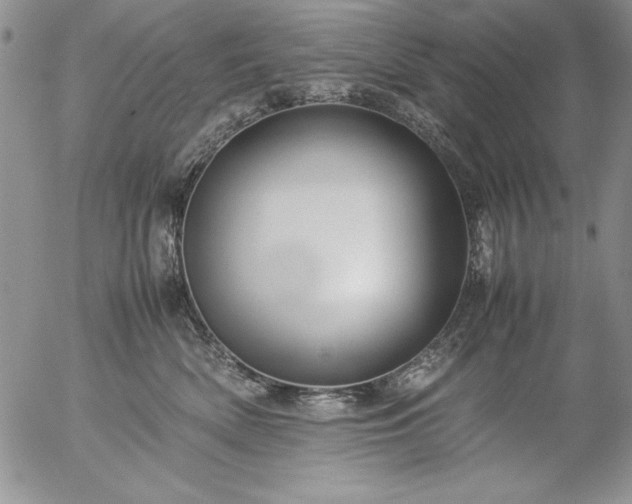 X0000057080522200509091251